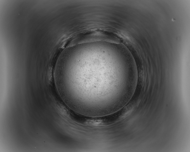 X0000087310554200704201212