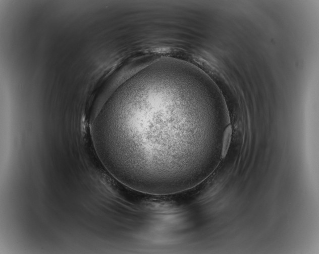 X0000087310555200704201212