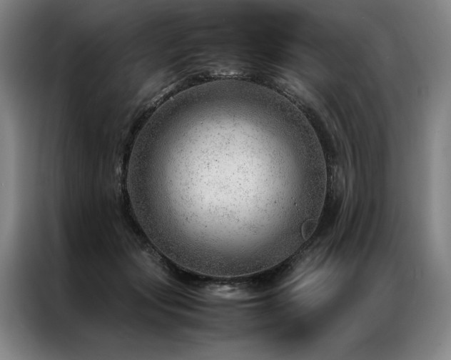 X0000087310557200704201212