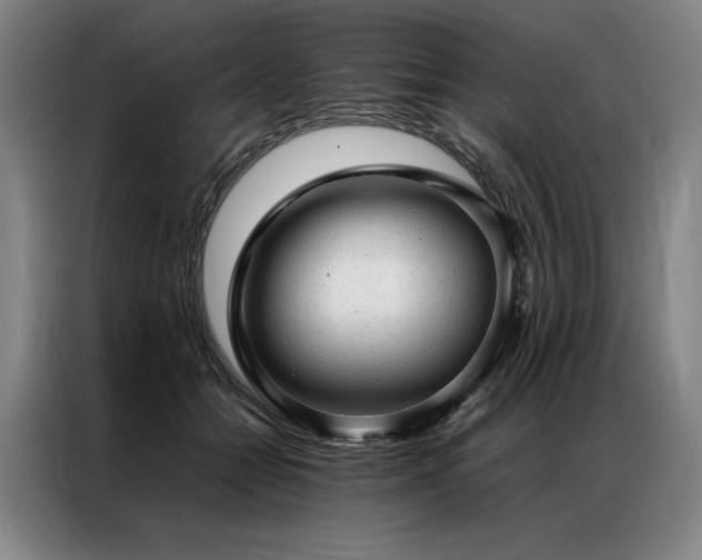 X0000087310558200704201212