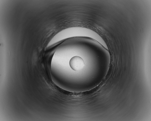 X0000087310560200704201212
