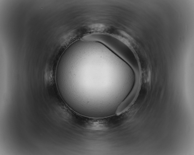 X0000087310564200704201212