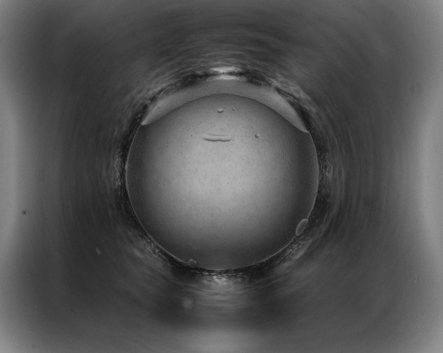 X0000087310565200704201212