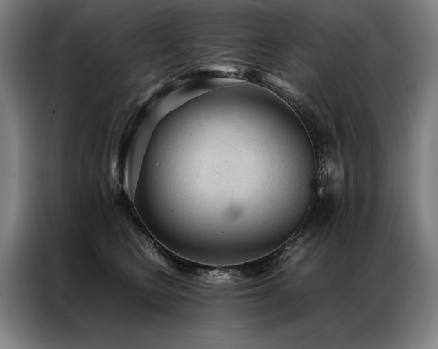 X0000087310566200704201212
