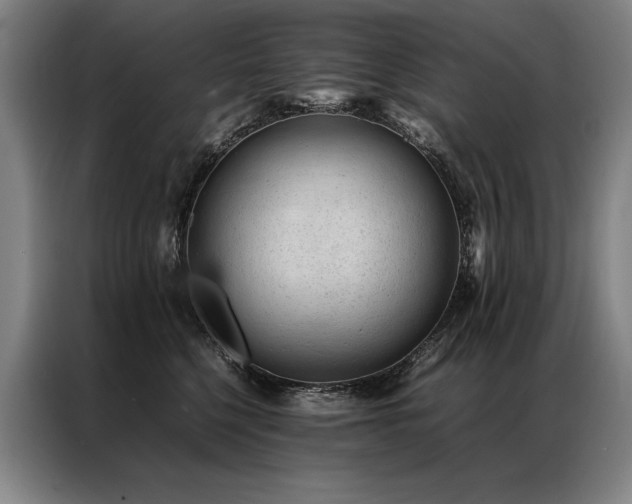 X0000087310568200704201212