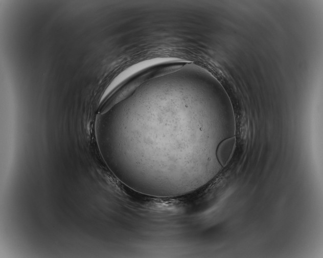 X0000087310569200704201212