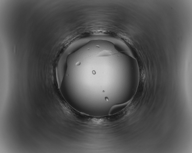 X0000087310570200704201212