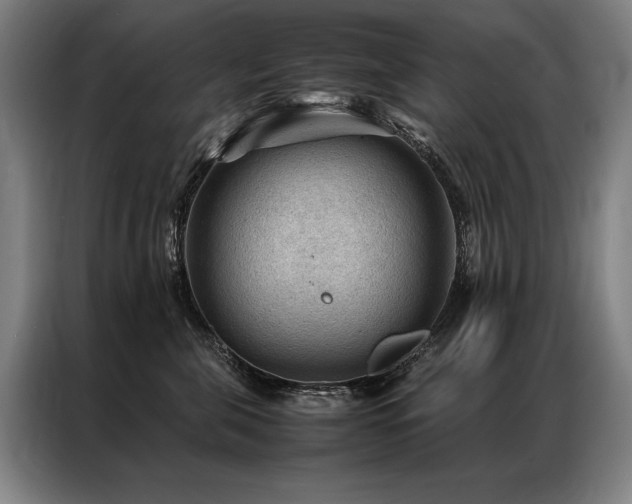 X0000087310571200704201212