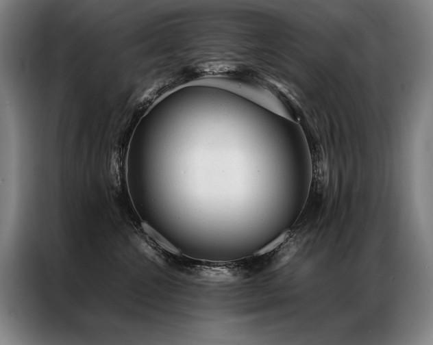 X0000087310572200704201212