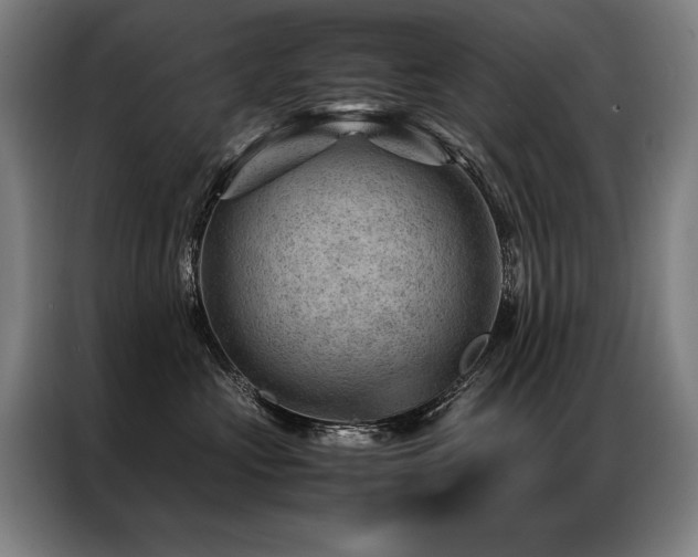 X0000087310573200704201212