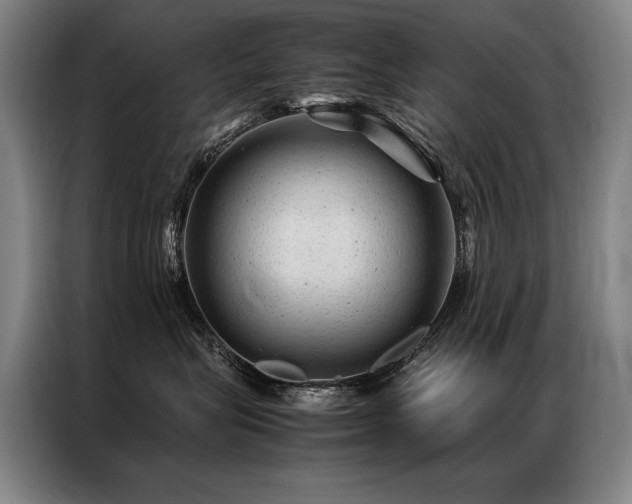 X0000087310575200704201212