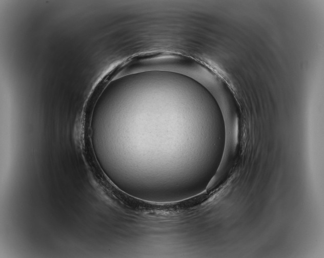 X0000087310580200704201212