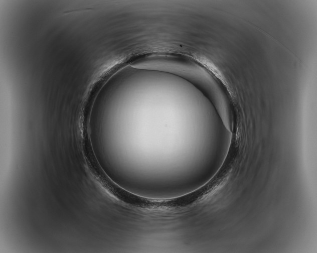 X0000087310581200704201212