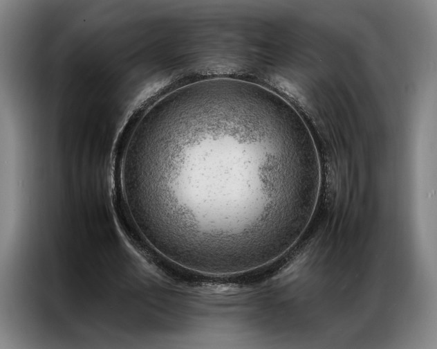 X0000087310582200704201212
