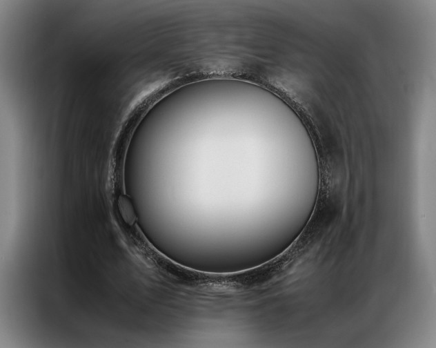 X0000087310583200704201212