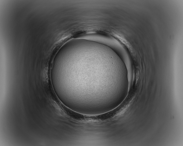 X0000087310585200704201212