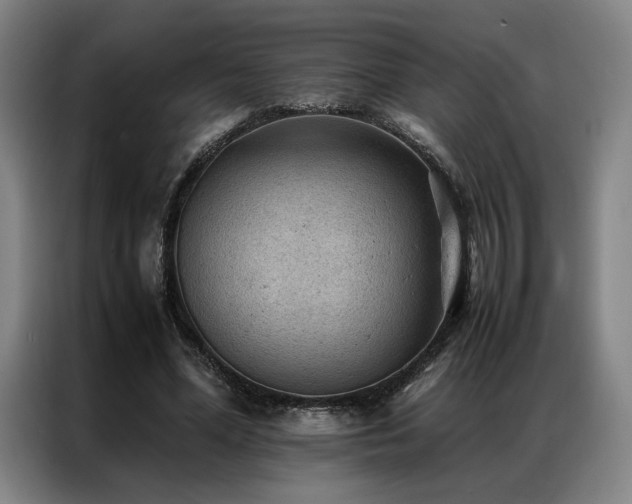 X0000087310588200704201212
