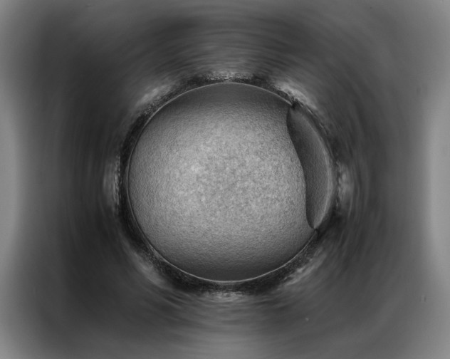 X0000087310590200704201211