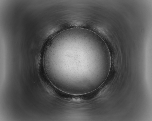 X0000087310591200704201211
