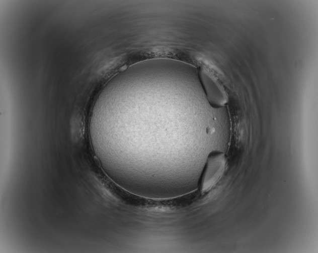 X0000087310593200704201211