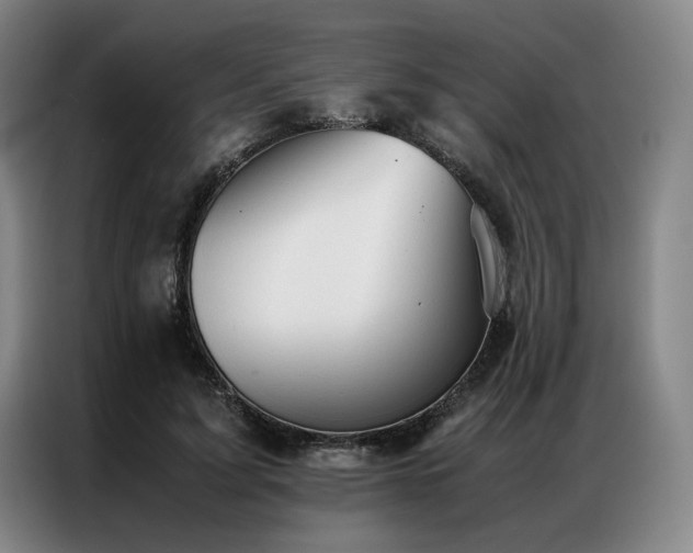 X0000087310595200704201211