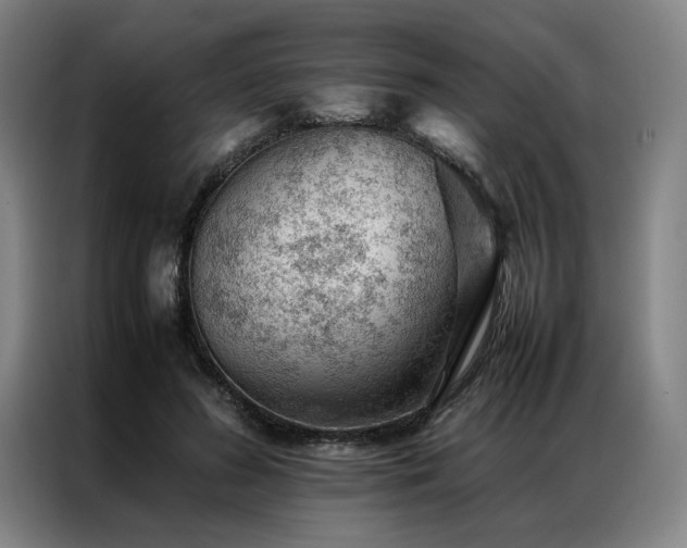X0000087310596200704201211