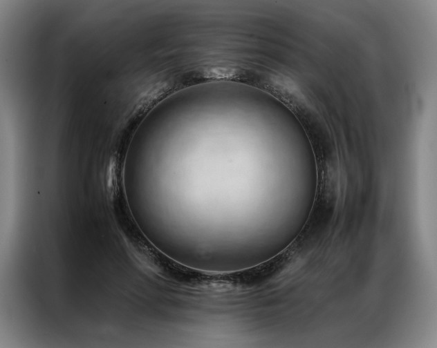 X0000087310598200704201211