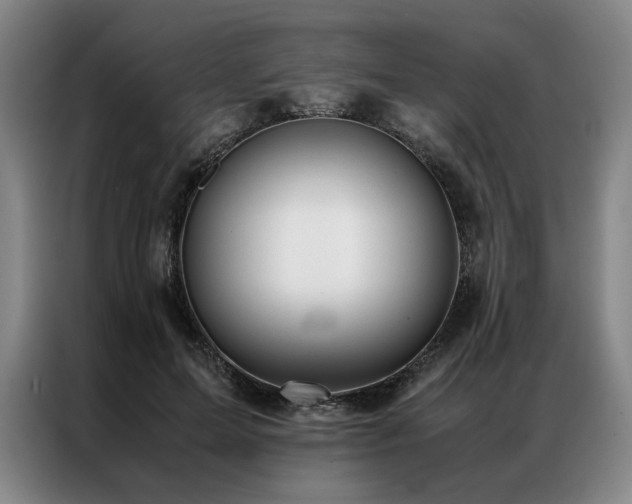 X0000087310599200704201211