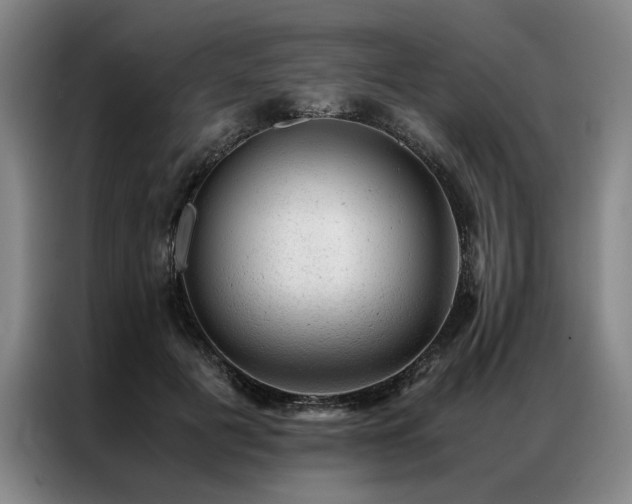 X0000087310601200704201211