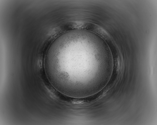 X0000087310602200704201211