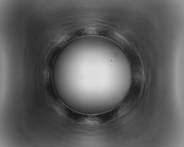 X0000087310603200704201211