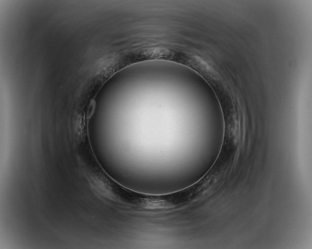 X0000087310605200704201211