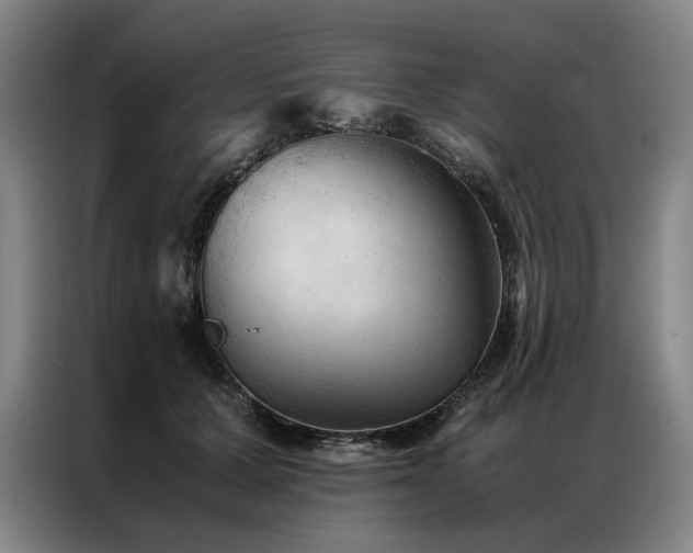 X0000087310607200704201211
