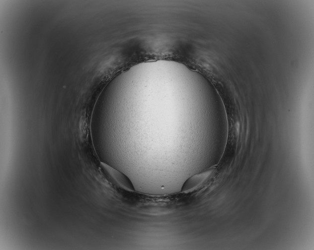 X0000087310609200704201211