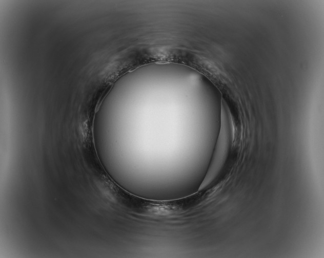 X0000087310611200704201211