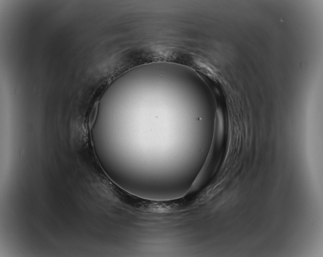 X0000087310613200704201211