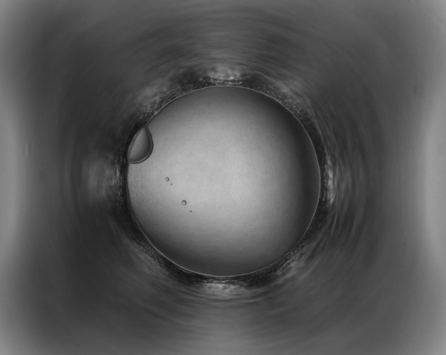 X0000087310614200704201211