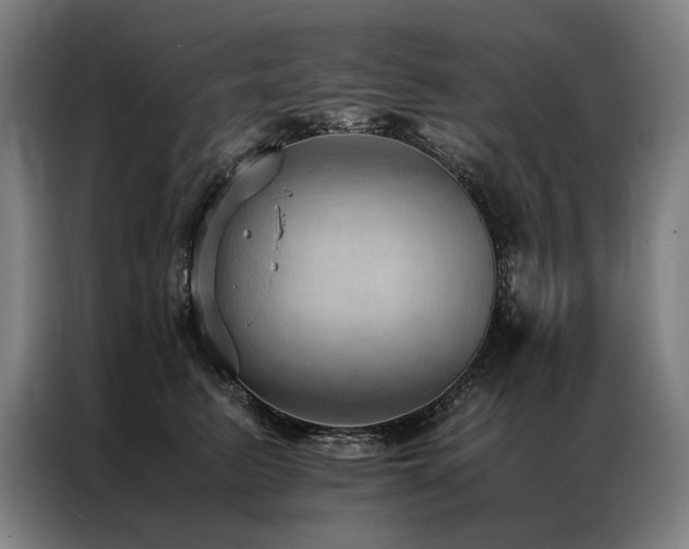 X0000087310615200704201211