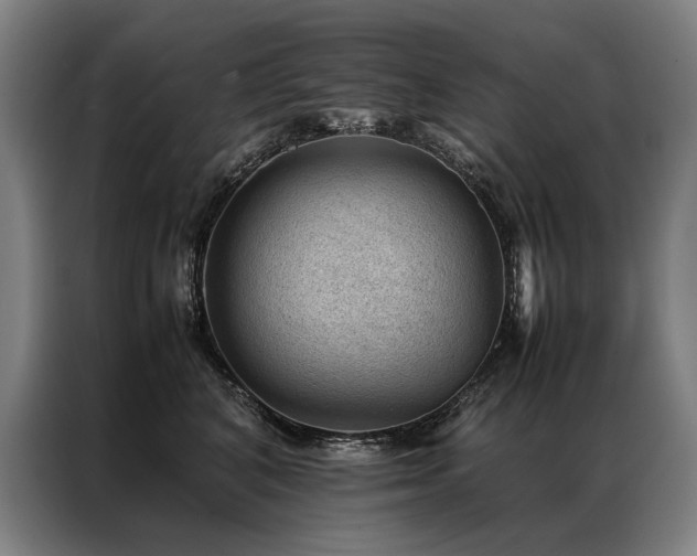 X0000087310616200704201211