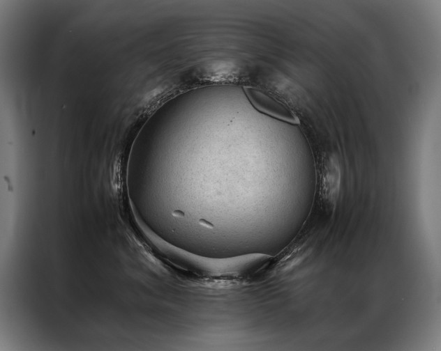 X0000087310620200704201211