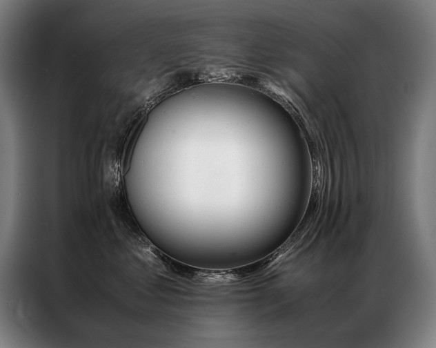 X0000087310621200704201211