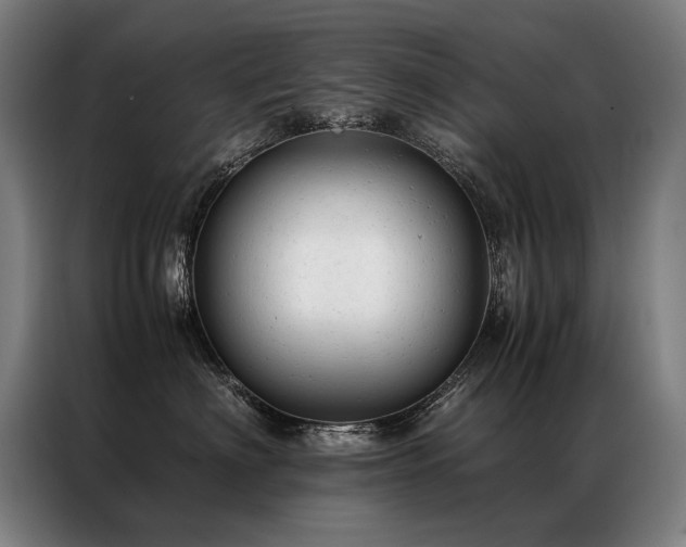 X0000087310622200704201211