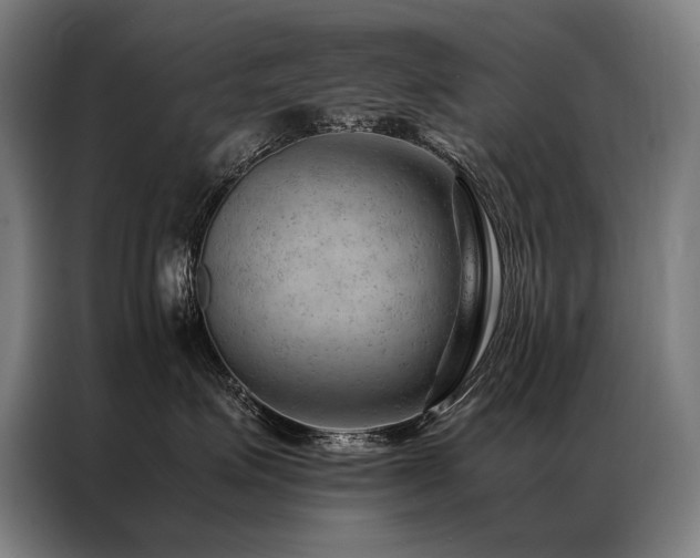 X0000087310623200704201211