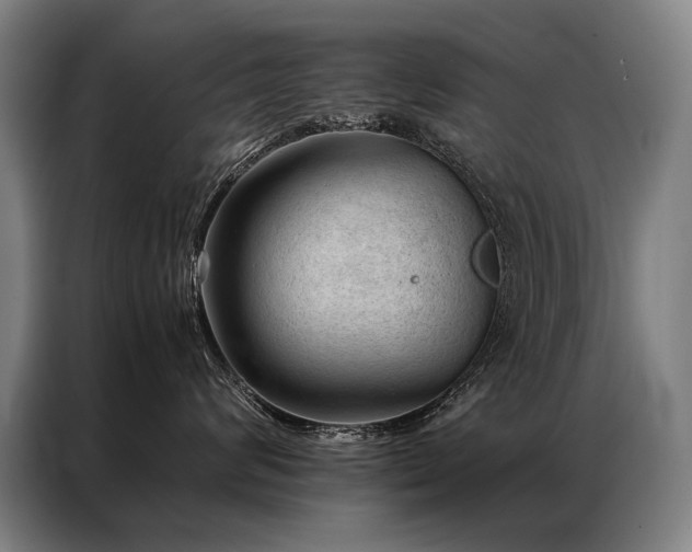 X0000087310624200704201211
