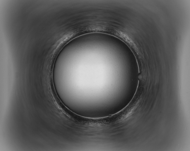 X0000087310625200704201211