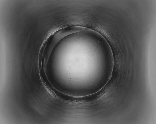 X0000087310626200704201211