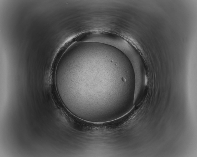 X0000087310628200704201211