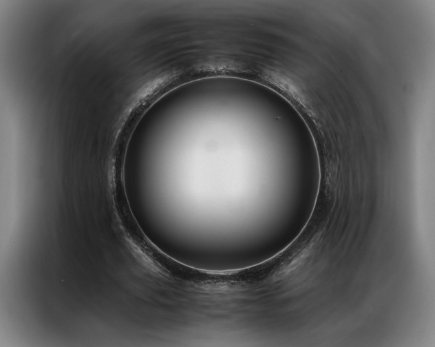 X0000087310629200704201211