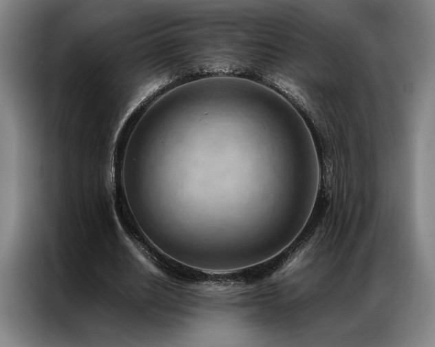 X0000087310630200704201211