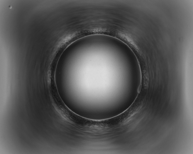X0000087310631200704201211